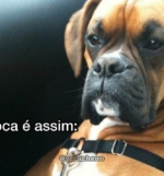 Imagem de destaque do post