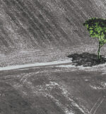 Imagem de destaque do post