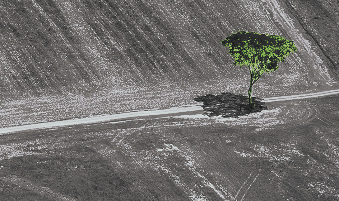 Imagem da listagem de bloco de notas