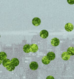 Imagem de destaque do post