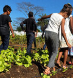 Imagem de destaque do post