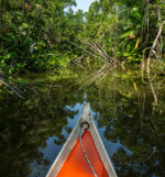 Imagem de destaque do post