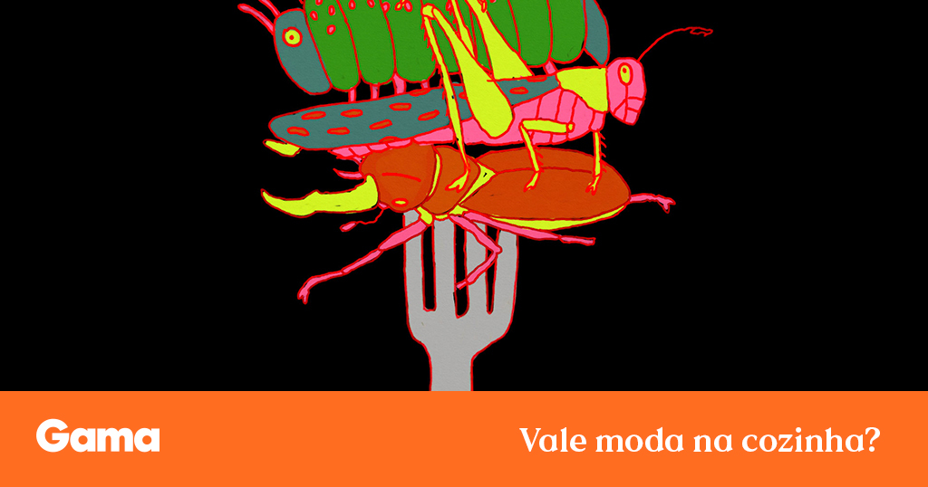 Thumbnail of Ha-Joon Chang: “Insetos são a proteína animal mais ecológica” — Gama Revista