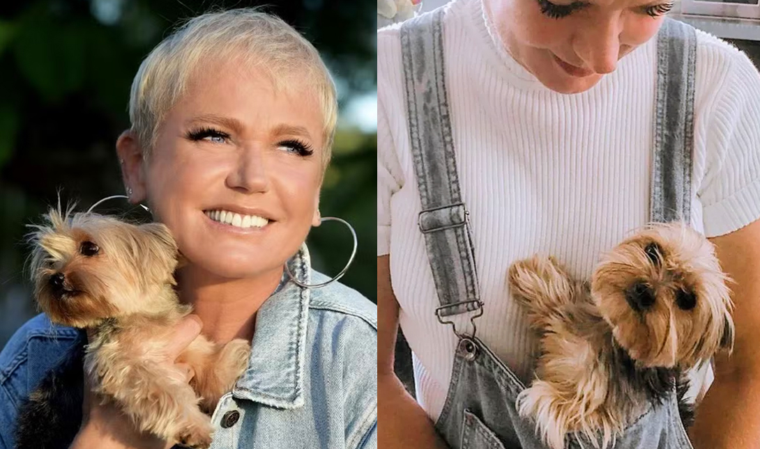 Imagem da listagem de bloco de notas