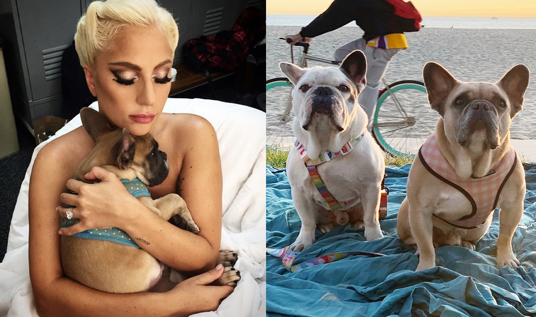 Imagem da listagem de bloco de notas