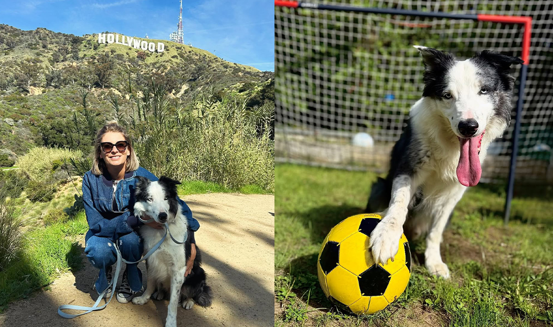 Imagem da listagem de bloco de notas