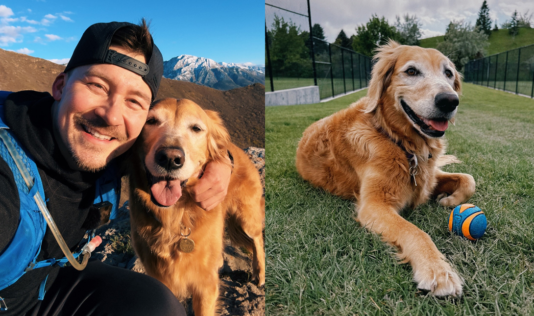 Imagem da listagem de bloco de notas