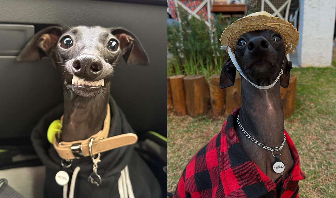 Imagem da listagem de bloco de notas