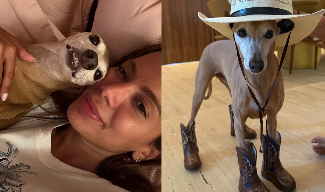 Imagem da listagem de bloco de notas