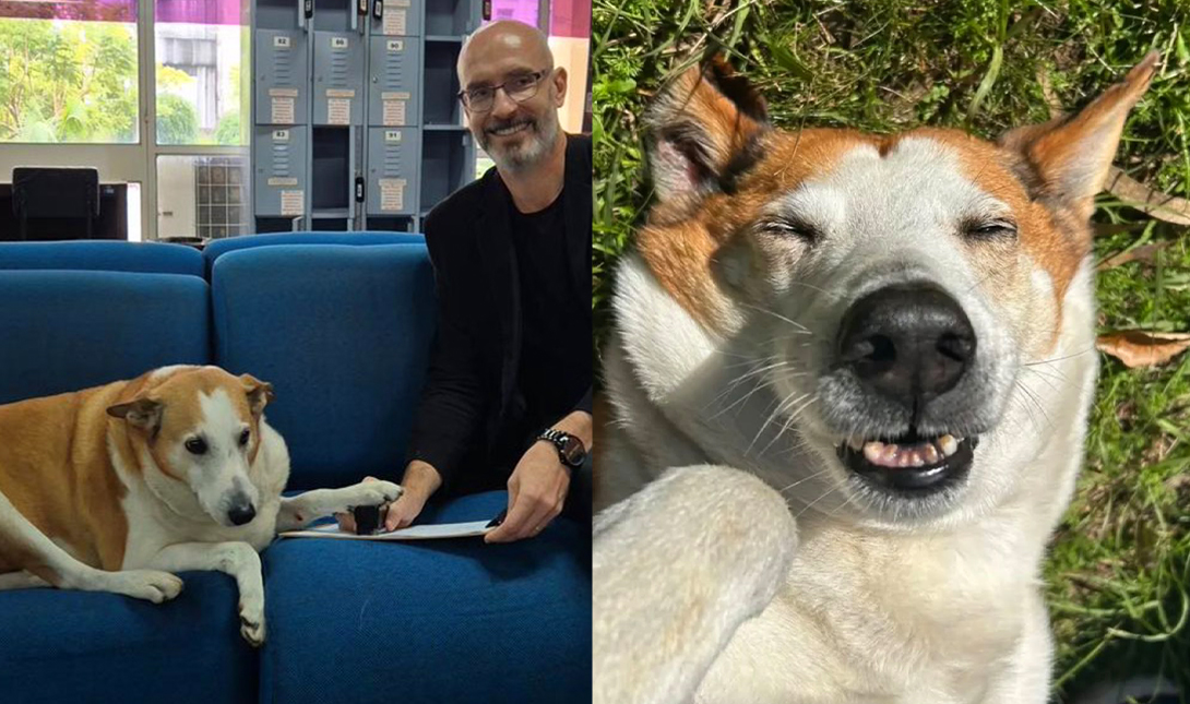 Imagem da listagem de bloco de notas