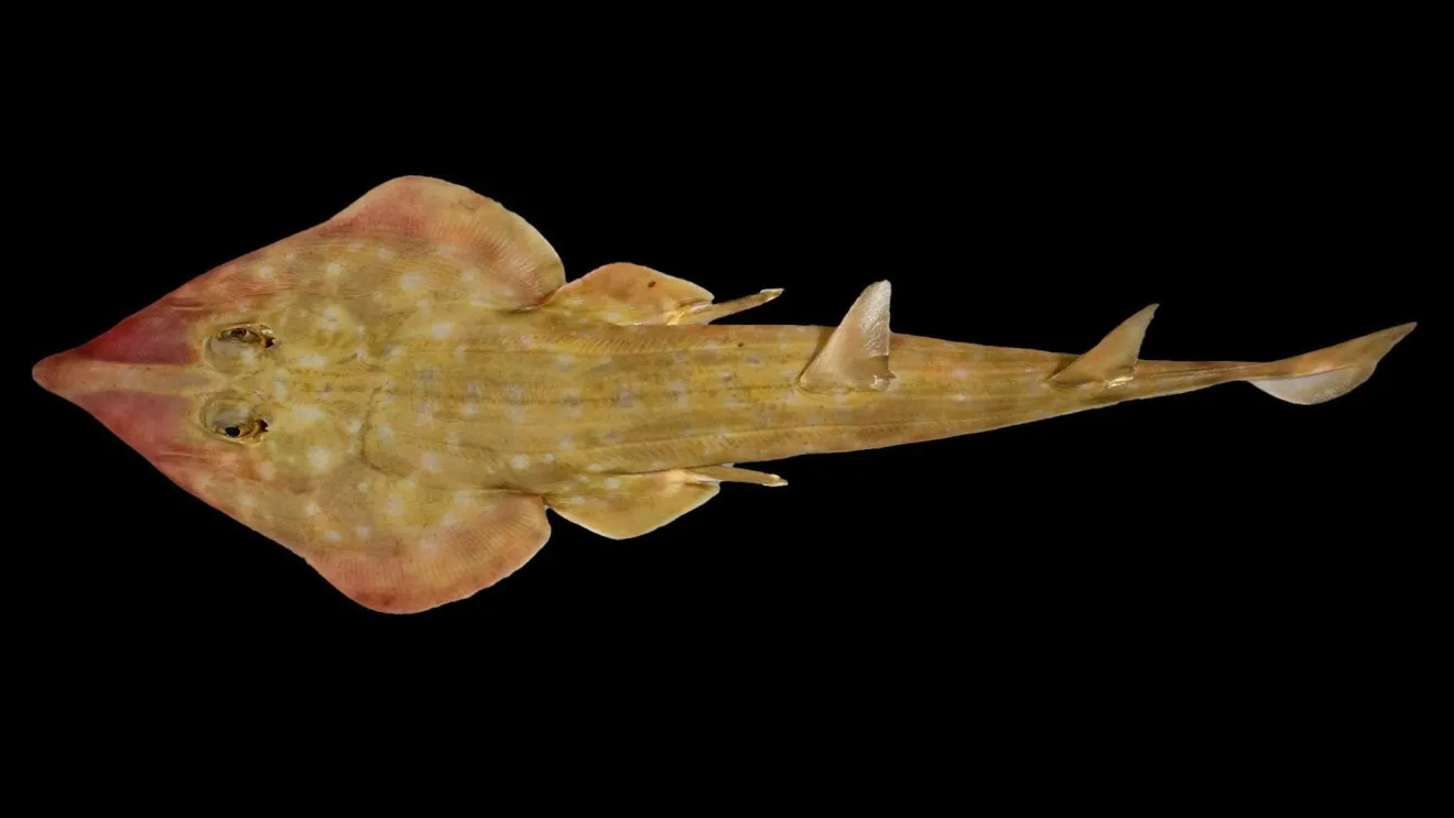 Imagem da listagem de bloco de notas