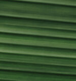 Imagem de destaque do post