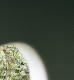 Imagem de destaque do post