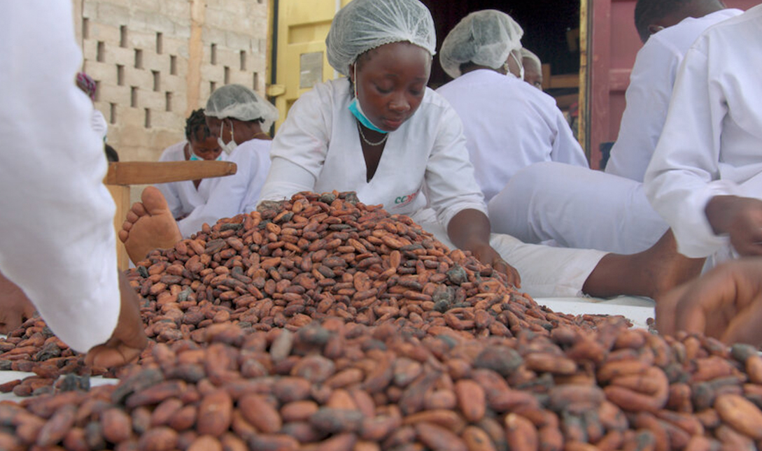 Imagem da listagem de bloco de notas