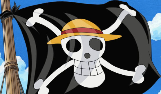 Imagem - Por que One Piece é uma das histórias mais políticas da atualidade