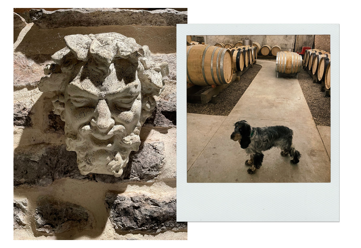 Detalhe de uma cabeça de Baco, o Deus do Vinho, na cave do Domaine Maillard, em Chorey-Les-Beaune (à esq.). À direita, a cave de envelhecimento de vinhos e mascote do Domaine Aubert & Paméla de Villaine, em Bouzeron, no sul da Borgonha