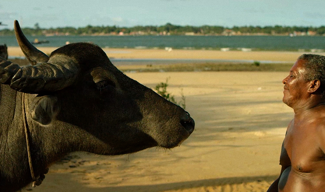 Imagem - Documentários sobre as riquezas, as diferentes culturas e a devastação da Amazônia